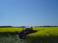 2012-05-26 036